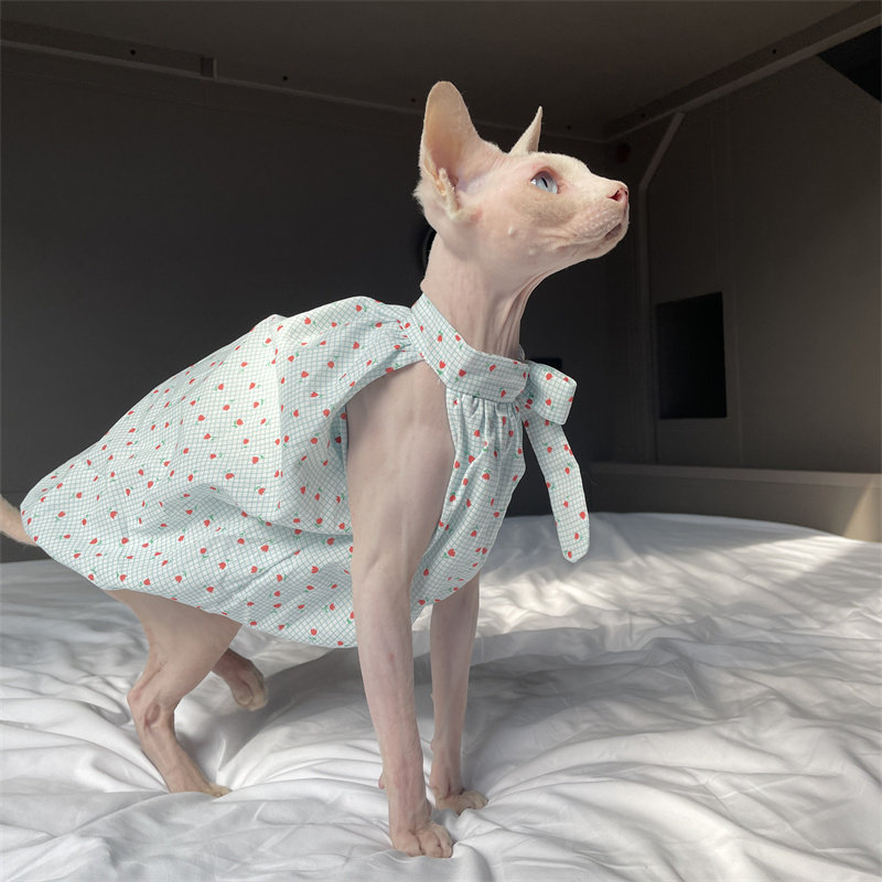 Winter Clothing Layers - Cat Clothing in Summer Sweet Light