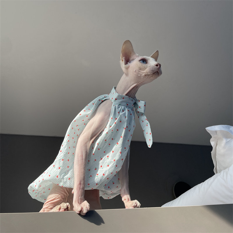 Cat Clothing in Summer Sweet L – Winter Clothing Layers recenzja i cena