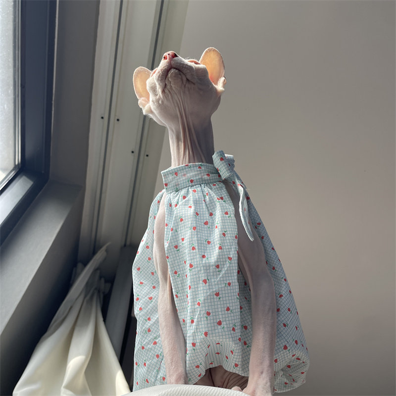 Cat Clothing in Summer Sweet L – Winter Clothing Layers recenzja i cena